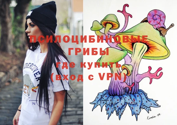 герыч Иннополис
