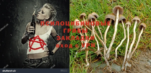 марки nbome Инта
